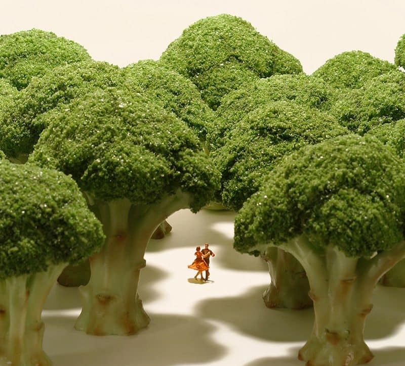 Forêt de brocolis